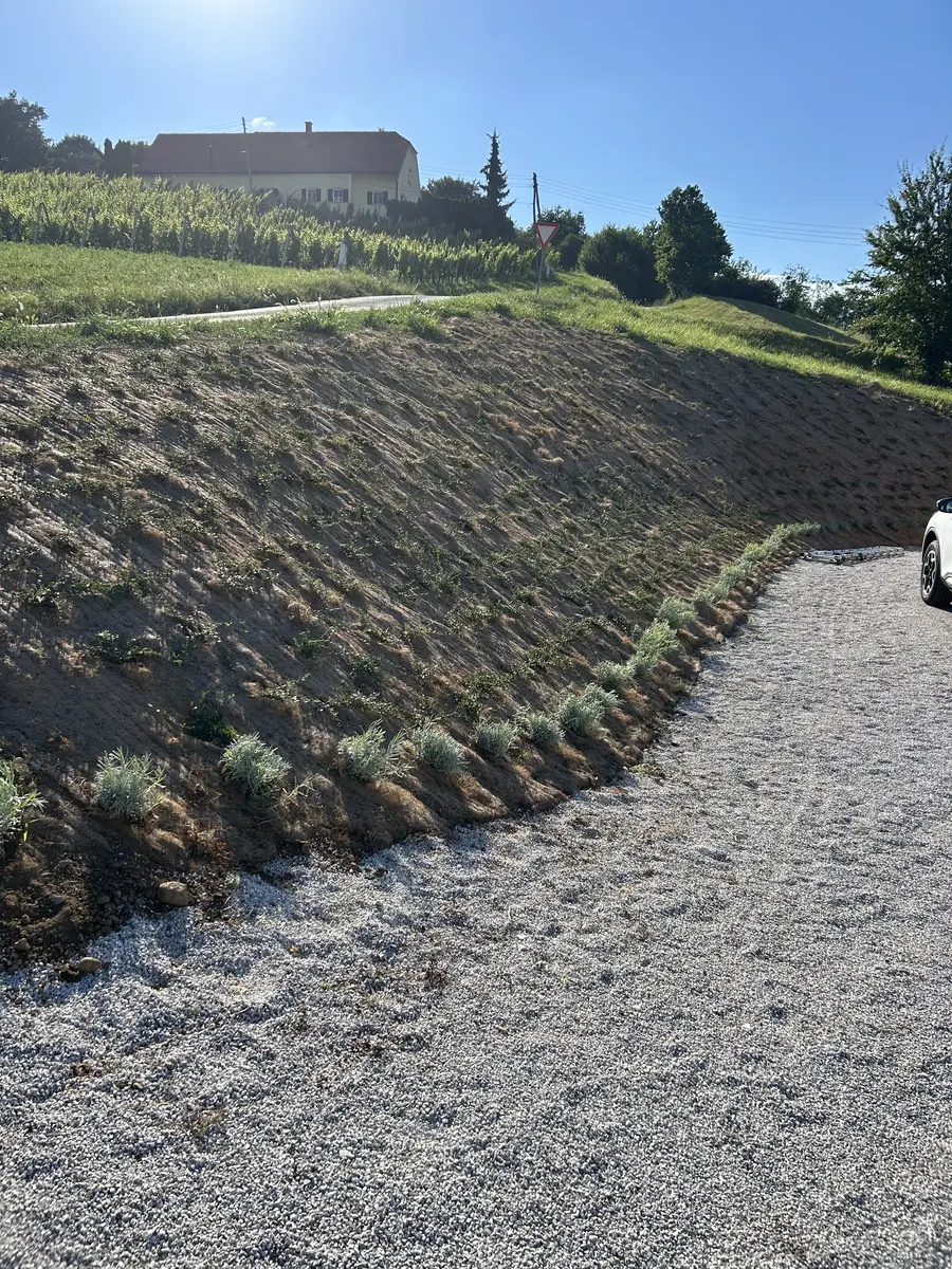 Zatravitev brežine z zaščitno mrežo